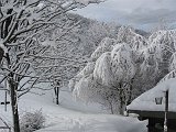 04  Bosco carico di neve